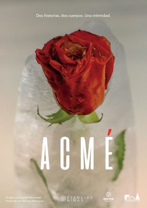 Acmé's poster