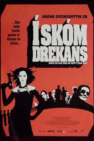 In the Shoes of the Dragon's poster