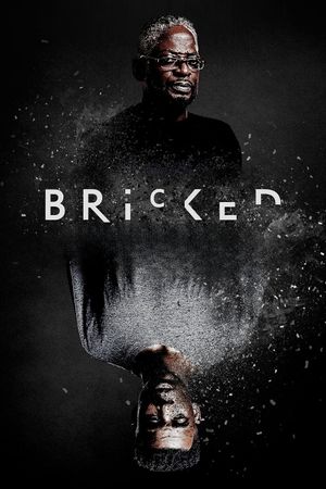 Bricked's poster