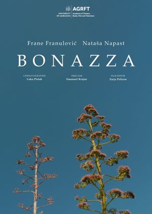 Bonazza's poster
