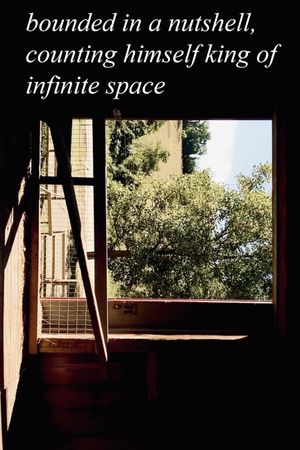 bounded in a nutshell, counting himself king of infinite space's poster