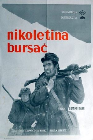 Nikoletina Bursac's poster