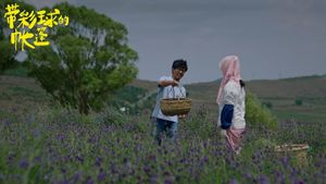The Flower's Time's poster