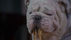The Dogfather's poster