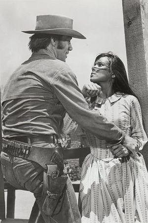 Heaven with a Gun's poster