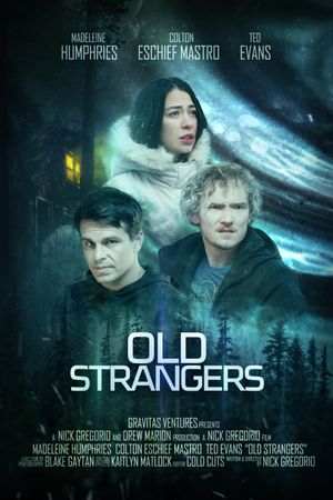Old Strangers's poster