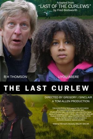 The Last Curlew's poster
