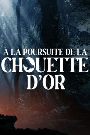 A la poursuite de la chouette d'or's poster image