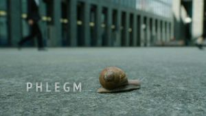 Phlegm's poster