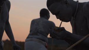 The Wound's poster