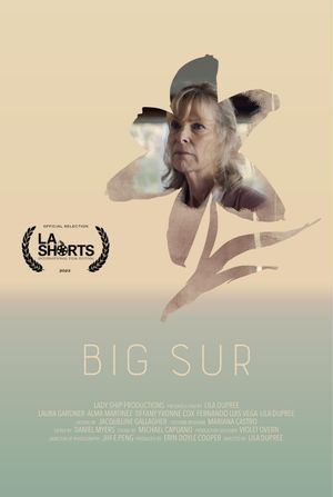 Big Sur's poster image