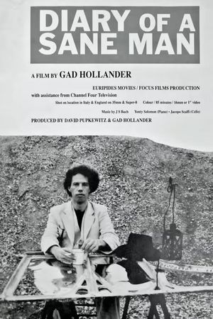 Diary of a Sane Man's poster