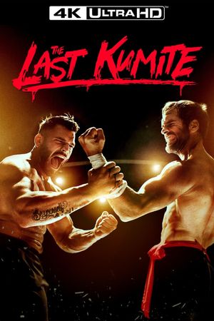 The Last Kumite's poster
