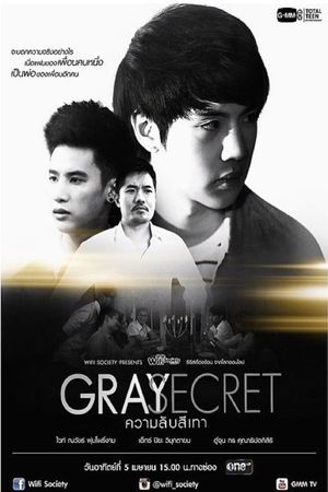 Wifi Society: Gray Secret's poster image