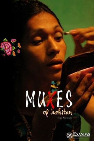 Muxes of Juchitán's poster