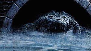 Alligator's poster