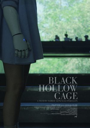Black Hollow Cage's poster