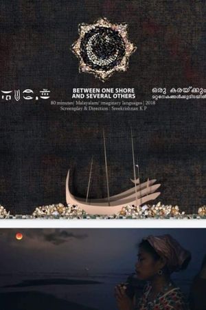 Between One Shore And Several Others's poster image