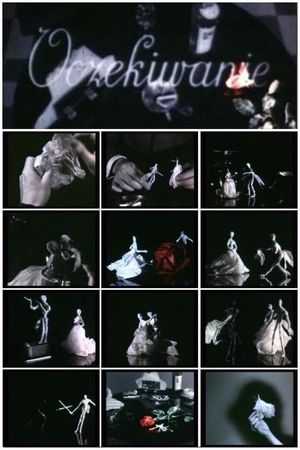 Expectation's poster