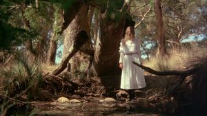 Picnic at Hanging Rock's poster