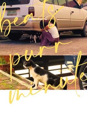 beats purr minute's poster