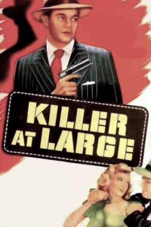 Killer at Large's poster