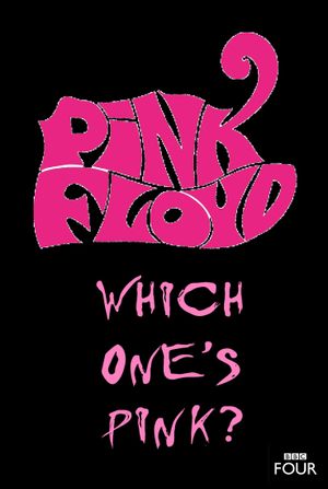 The Pink Floyd Story: Which One's Pink?'s poster