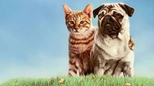 The Adventures of Milo and Otis's poster
