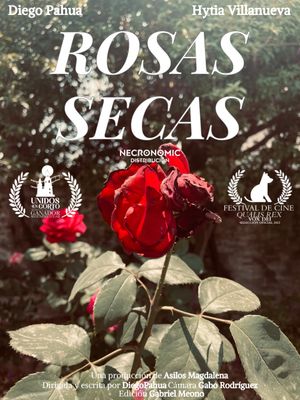 Dried Roses's poster