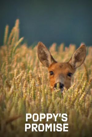 Poppy's Promise: Secret Life in a Cornfield's poster