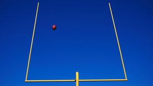 The Garbage Picking Field Goal Kicking Philadelphia Phenomenon's poster