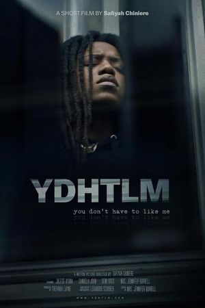 YDHTLM: You Don't Have to Like Me's poster image