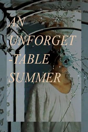 An Unforgettable Summer's poster