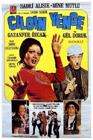 Çilgin Yenge's poster