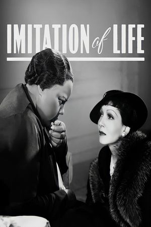 Imitation of Life's poster