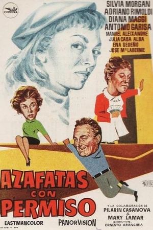Azafatas con permiso's poster