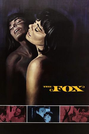 The Fox's poster