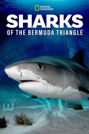 Sharks of the Bermuda Triangle's poster image