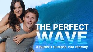 The Perfect Wave's poster