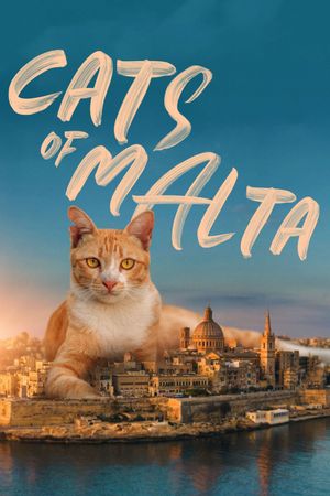 Cats of Malta's poster