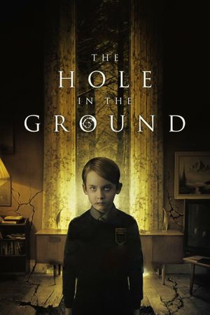 The Hole in the Ground's poster