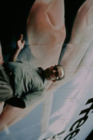 Sign Painters's poster image