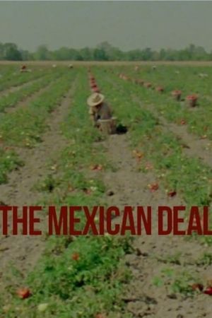 Le Deal mexicain's poster