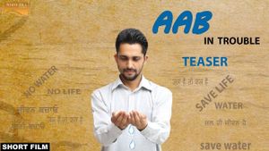 AAB - Punjabi's poster