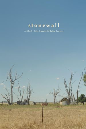stonewall's poster