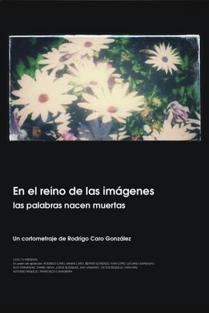 En el reino de las imágenes, las palabras nacen muertas's poster image