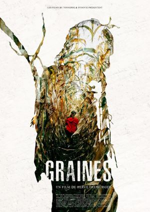 Graines's poster