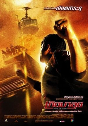 Born to Fight's poster