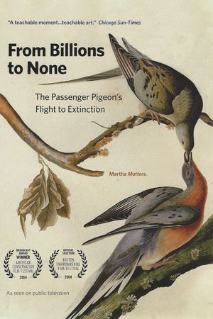 From Billions to None: The Passenger Pigeon's Flight to Extinction's poster