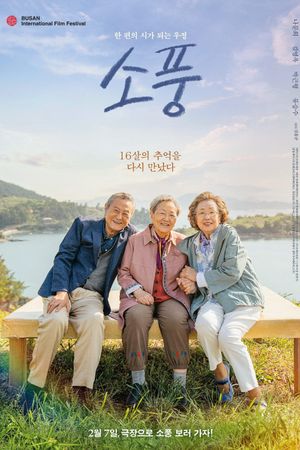 Picnic's poster